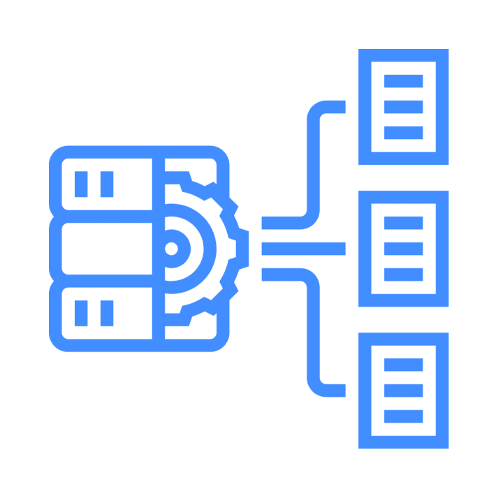 Digital Services